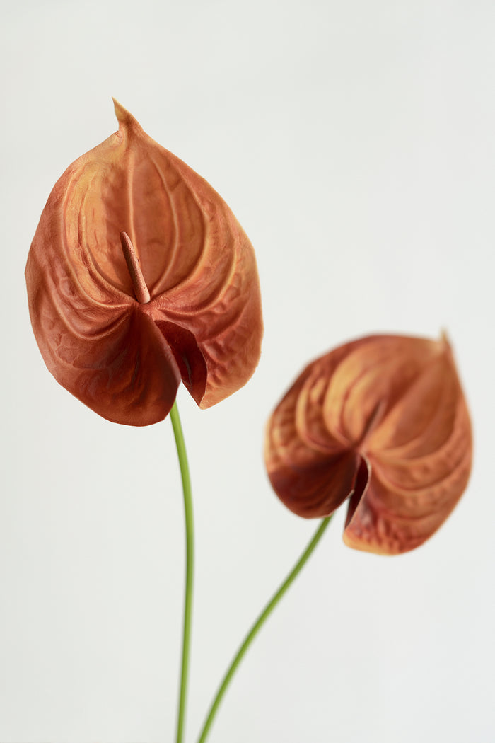 15' Anthurium Flowers with Stem - Image 2