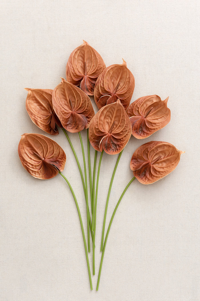 15' Anthurium Flowers with Stem - Image 3