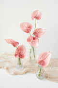 15' Anthurium Flowers with Stem - Image 4