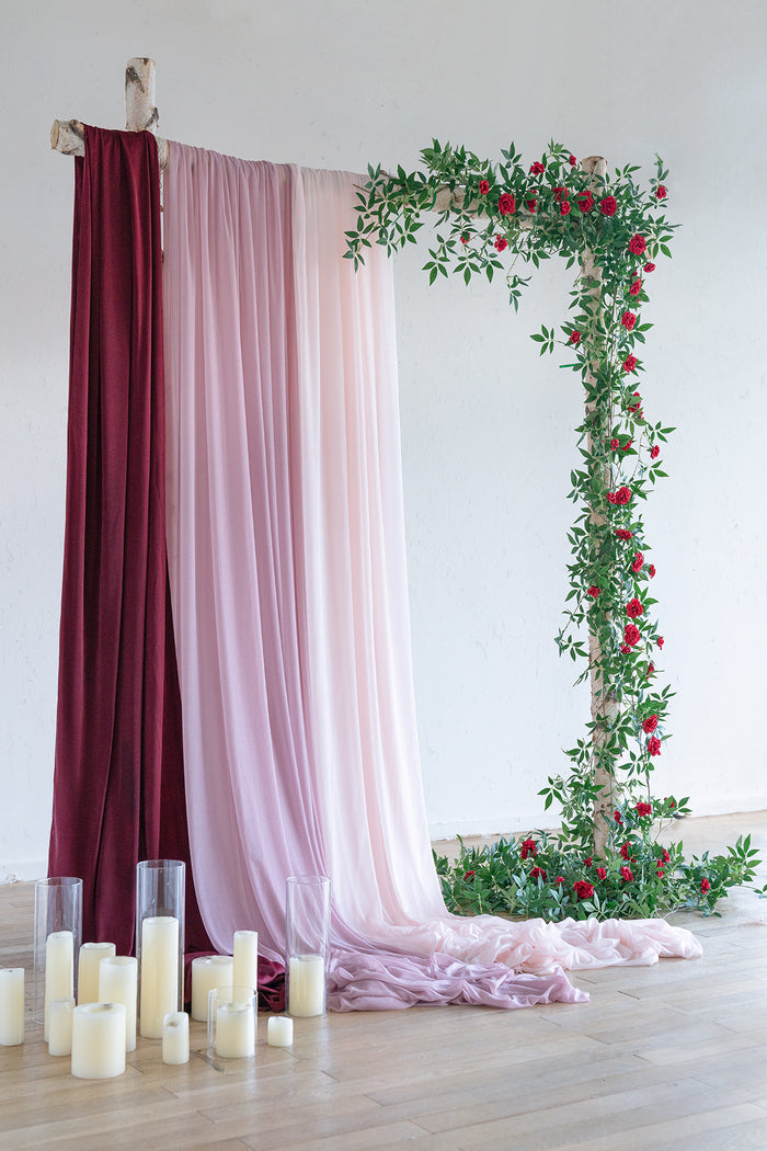 6ft Rosa Banksiae Vine - Image 8