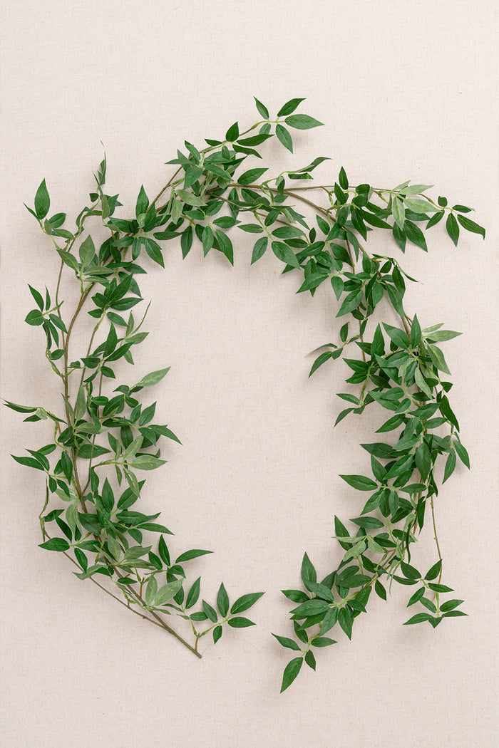 1 Vine