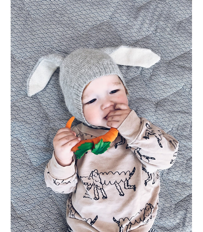 Cathy the Carrot