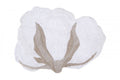 #variant_Cotton Flower