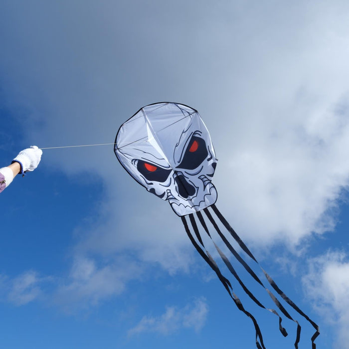 Devils Kite