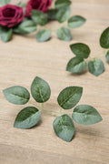 Rose Leaves