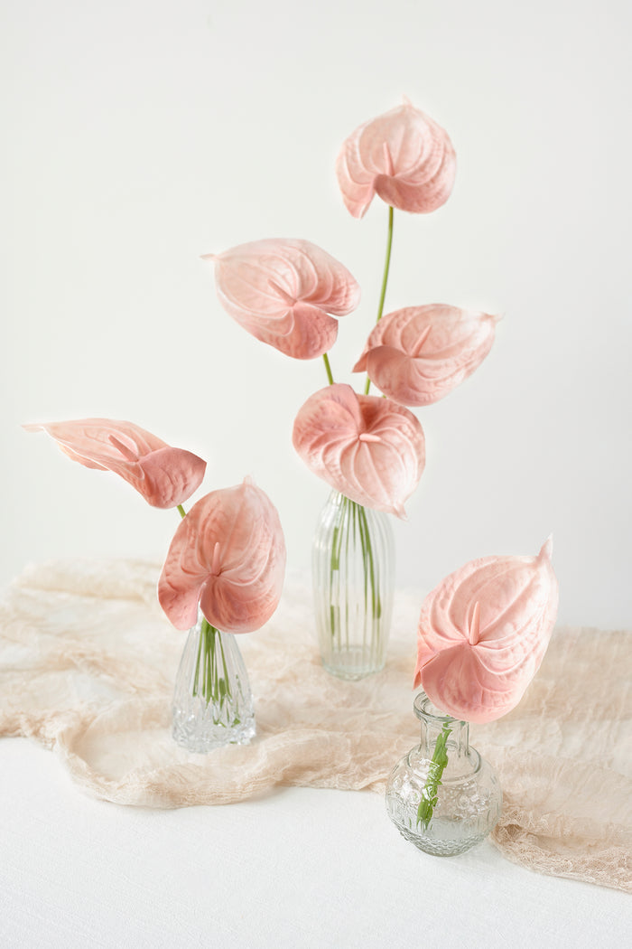DIY Supporting Flower Boxes in Tropical Citrus & Pink - Image 3