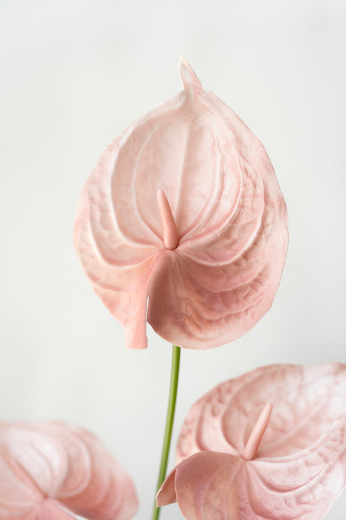 DIY Supporting Flower Boxes in Tropical Citrus & Pink - Image 4