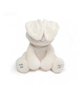 Flora the Animated Bunny