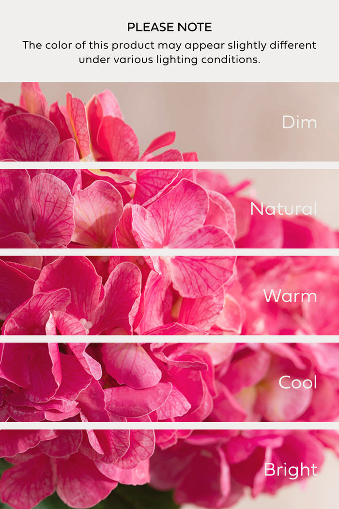 Hydrangeas with Stem in Berry Pink