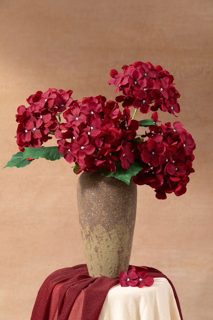 Hydrangeas with Stem in Black Baccara