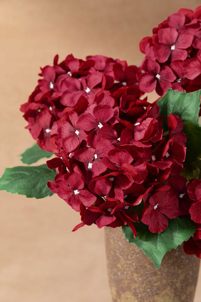 Hydrangeas with Stem in Black Baccara