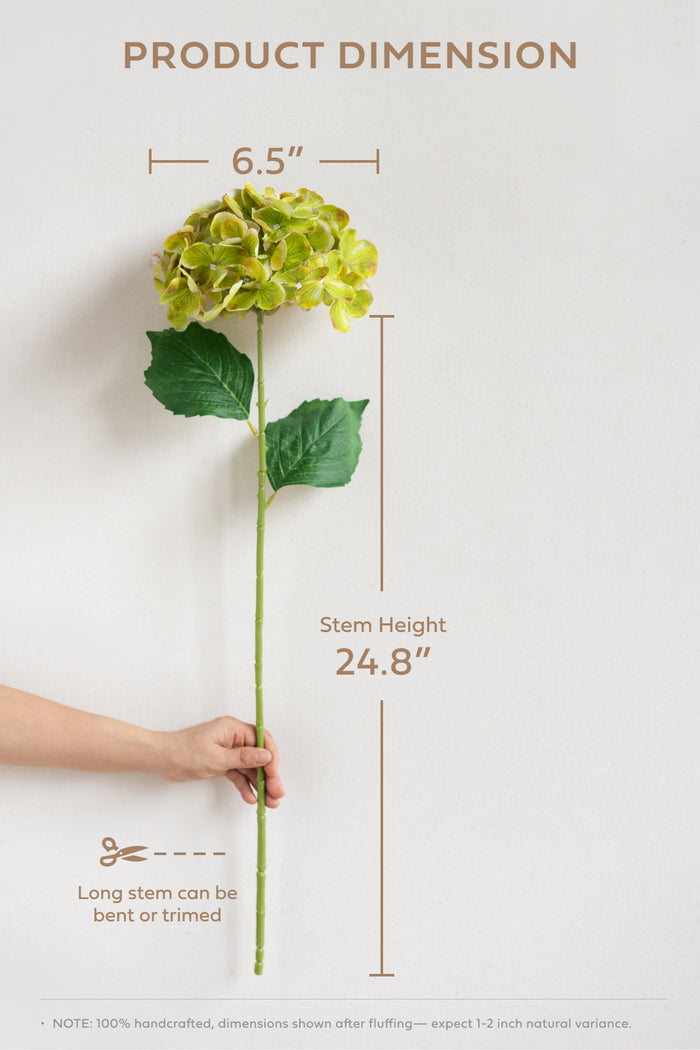 Hydrangeas with Stem in Black Baccara