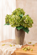 Hydrangeas with Stem in Kiwi Colada
