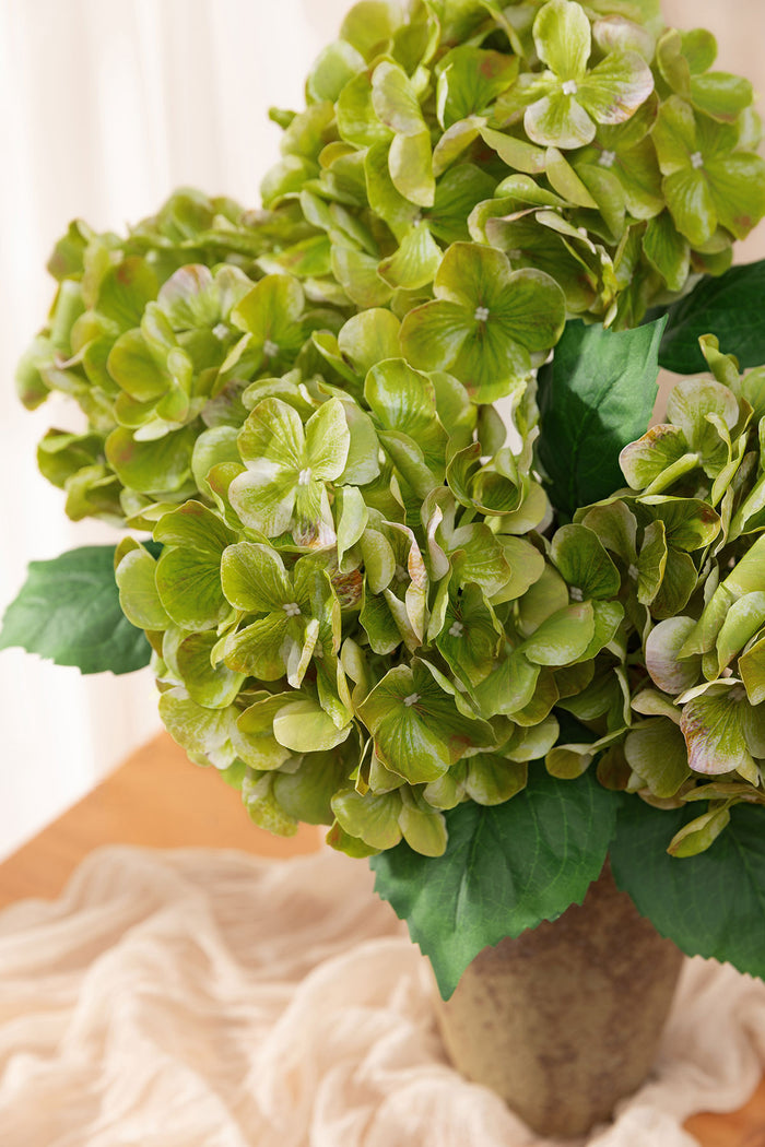 Hydrangeas with Stem in Kiwi Colada