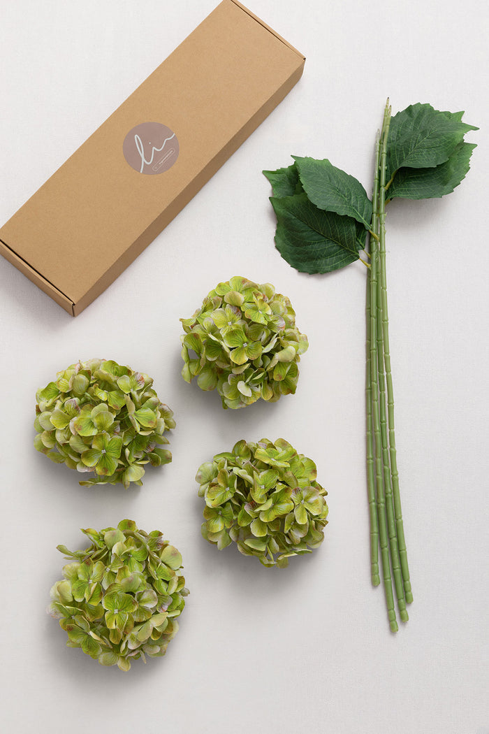Hydrangeas with Stem in Kiwi Colada