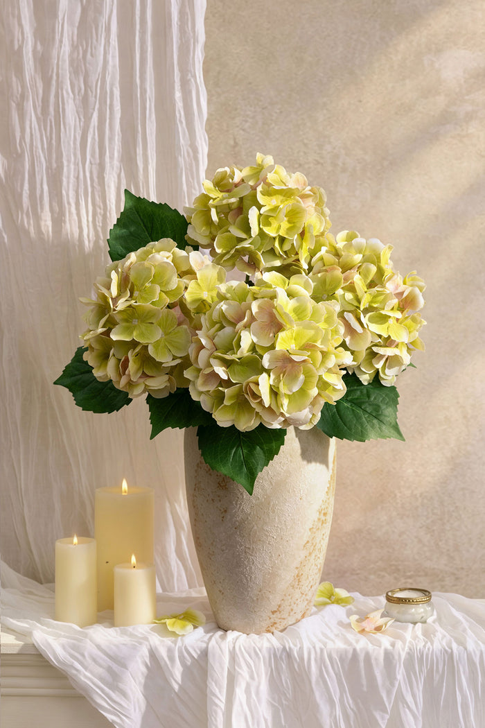 Hydrangeas with Stem in Light Green