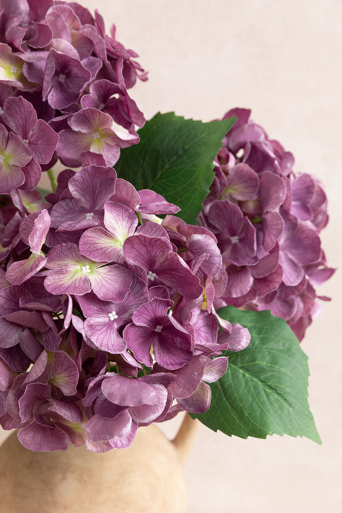 Hydrangeas with Stem in Purple