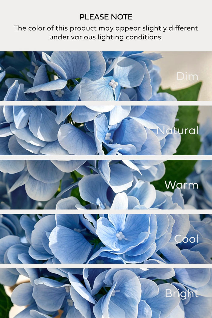 Hydrangeas with Stem in Sky Blue