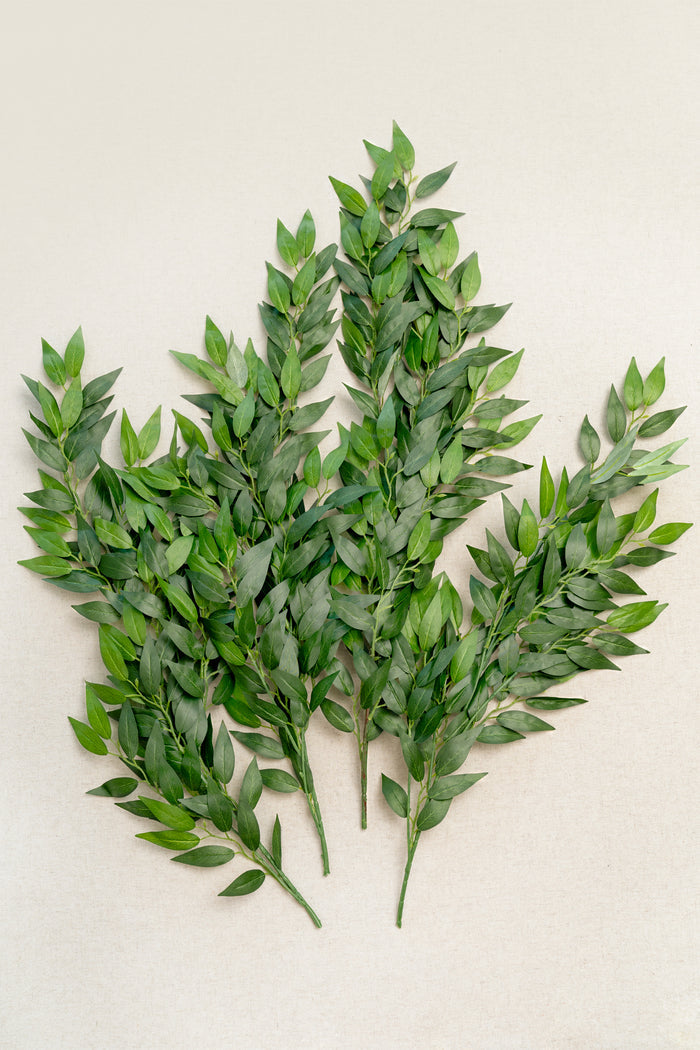 Italian Ruscus Spray - Image 5