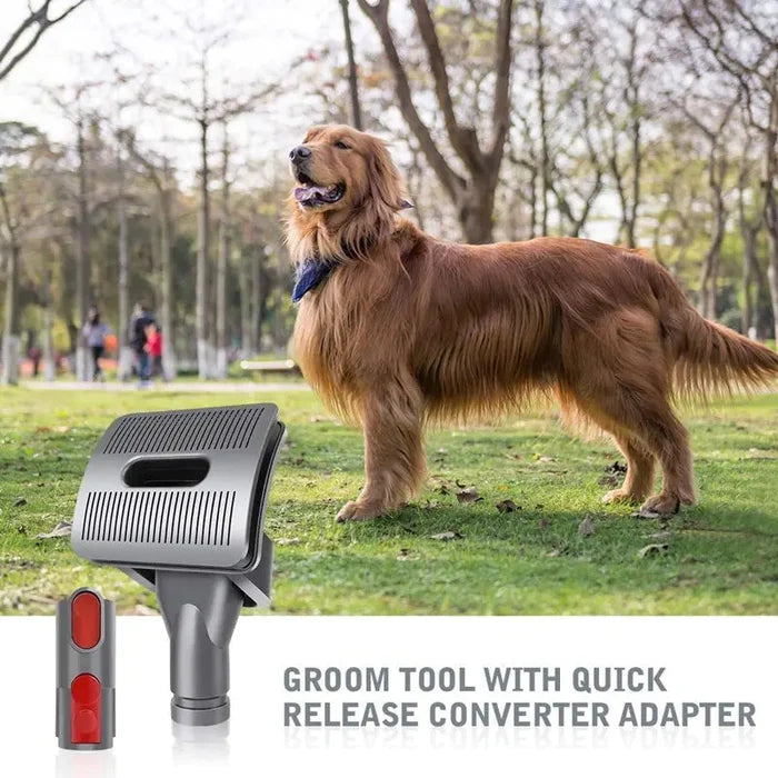 Pet Bed Brush Vacuum Attachment Rieworkes