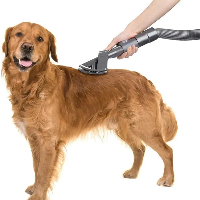 Pet Bed Brush Vacuum Attachment Rieworkes