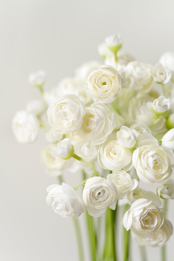 Ranunculus Flowers with Stem - Image 8