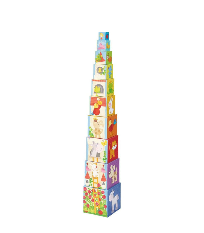 Rapunzel Stacking Cubes