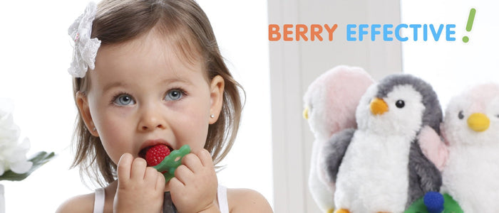 RaZBuddy Paci Holder