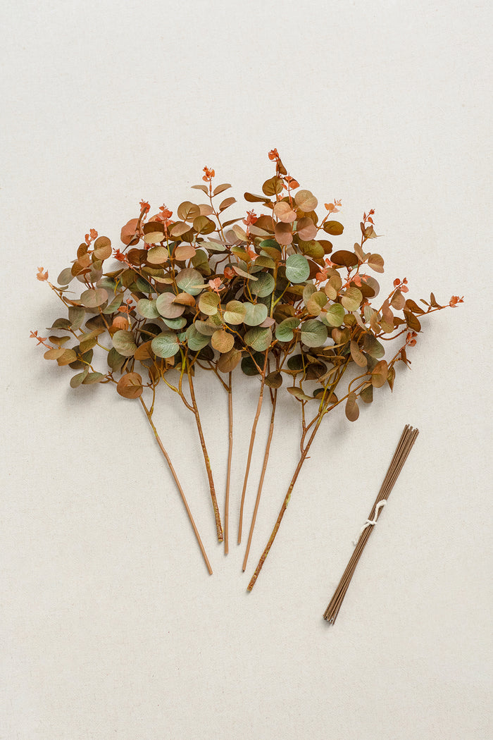 Terracotta Seeded Eucalyptus - Image 2