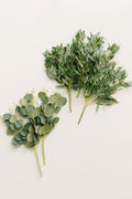 Silver Dollar Eucalyptus and Willow Leaf Spray - Image 6