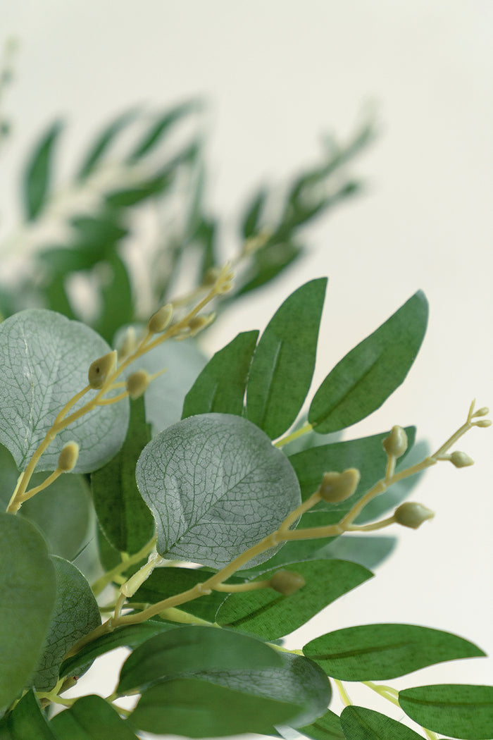 Silver Dollar Eucalyptus and Willow Leaf Spray - Image 5