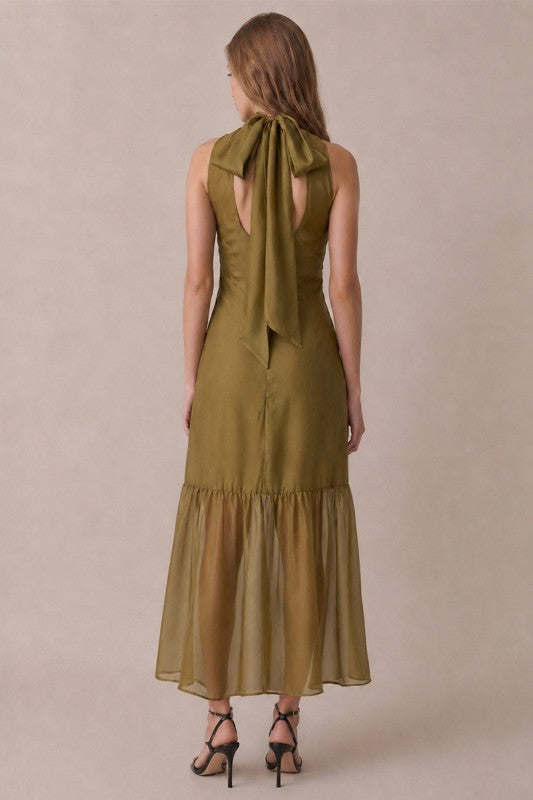 Sofia Organza Maxi Dress