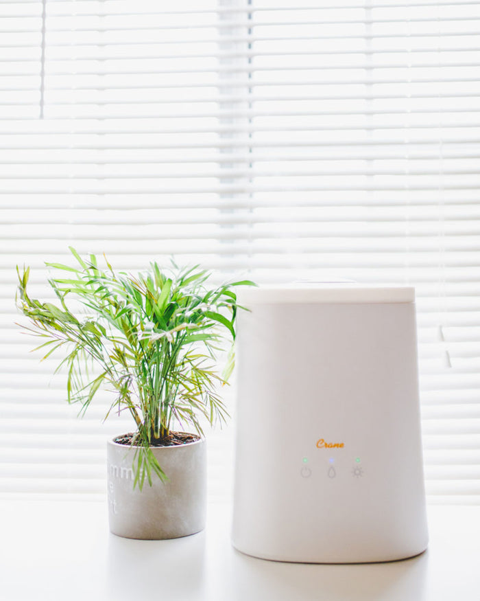Top Fill Ultrasonic Cool Mist Humidifier