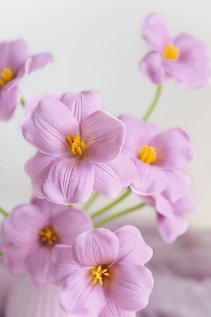 Tulips with Stem - Image 5