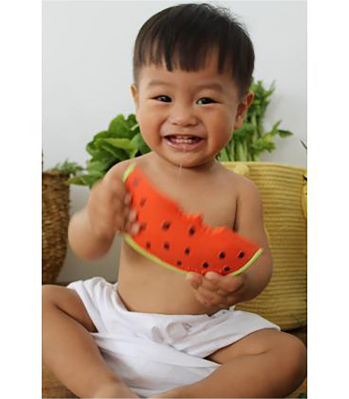Wally the Watermelon